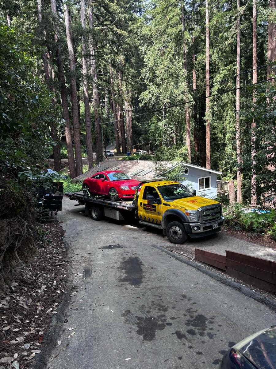 Tow truck delivering a vehicle in the redwoods